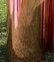 45606876938406|45606877069478